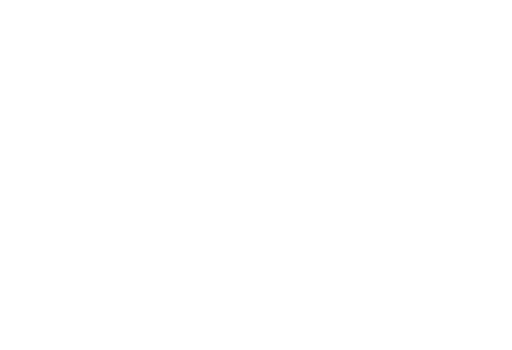 BLVSH